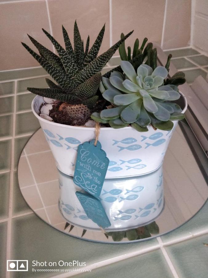 Maison Papillons 普洛默迪耶尔恩 外观 照片